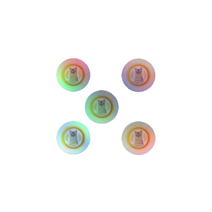 KC, At My Limit (kitty), Holo Sticker Pack product image (1)