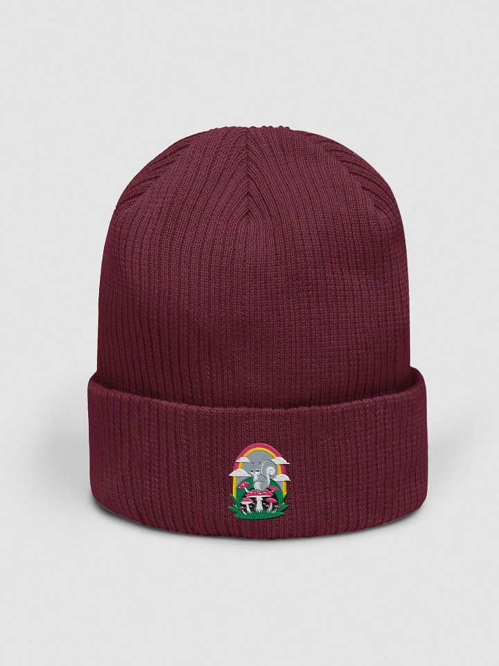 Organic Cotton Embroidered Rainbow Mushroom Squirrel Beanie product image (1)