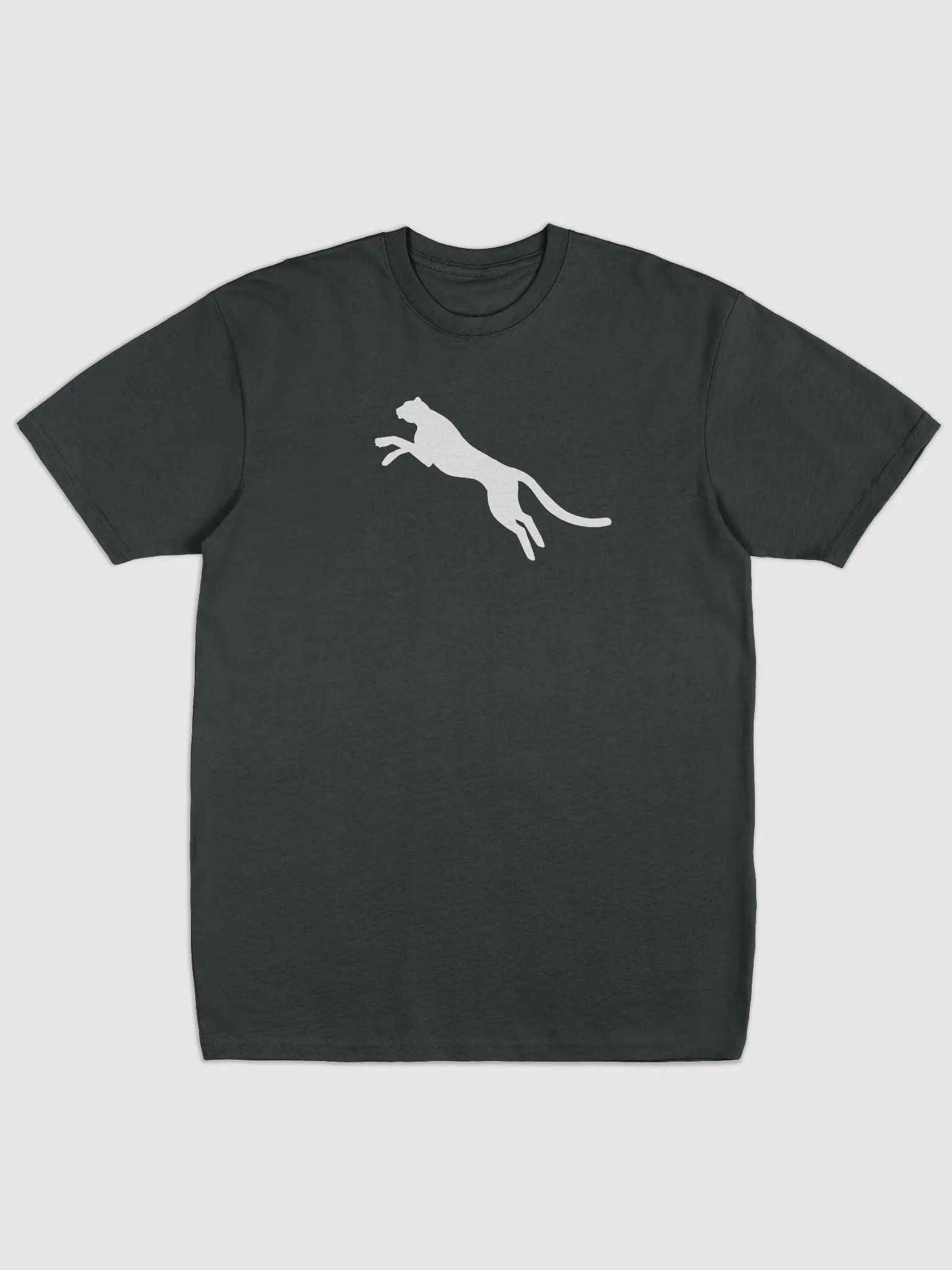 t shrt product image (1)