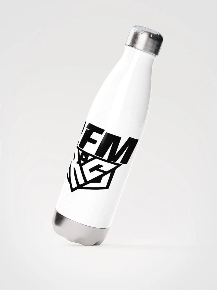 2FM Stainless Steel Water Bottle product image (2)