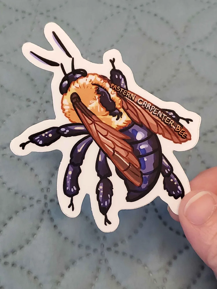 Eastern Carpenter Bee Sticker product image (1)