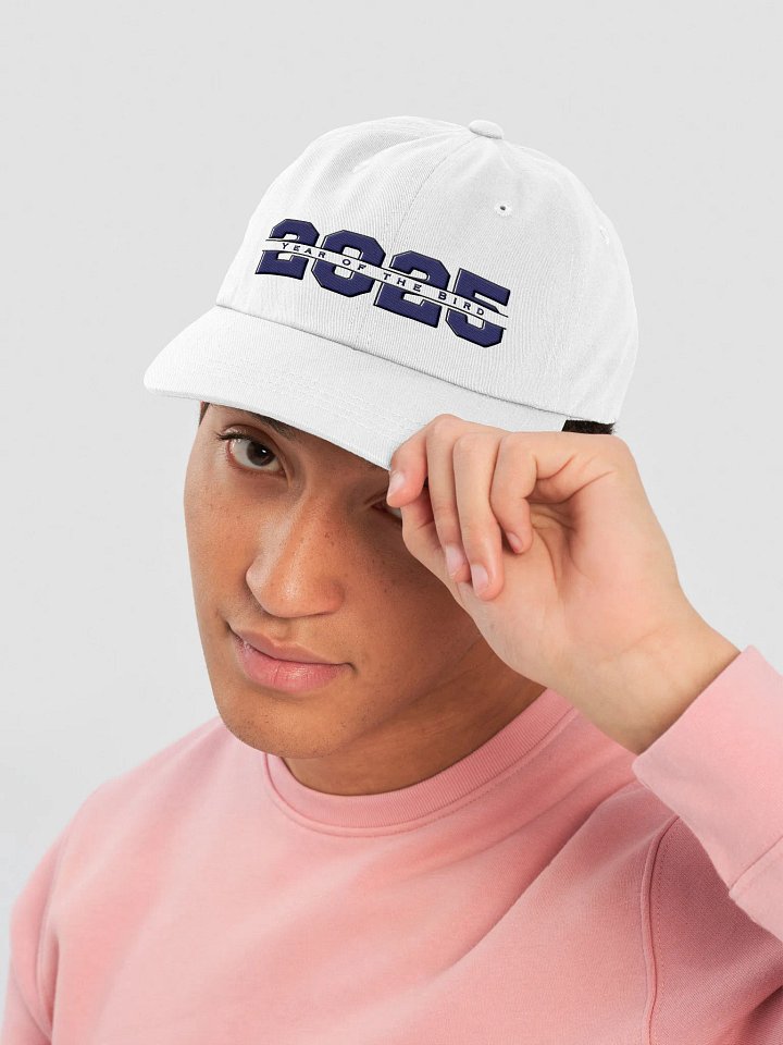 Navy "Year of the Bird" Cap product image (1)
