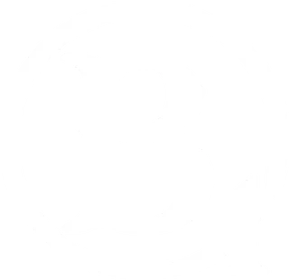 B1 Horsemanship
