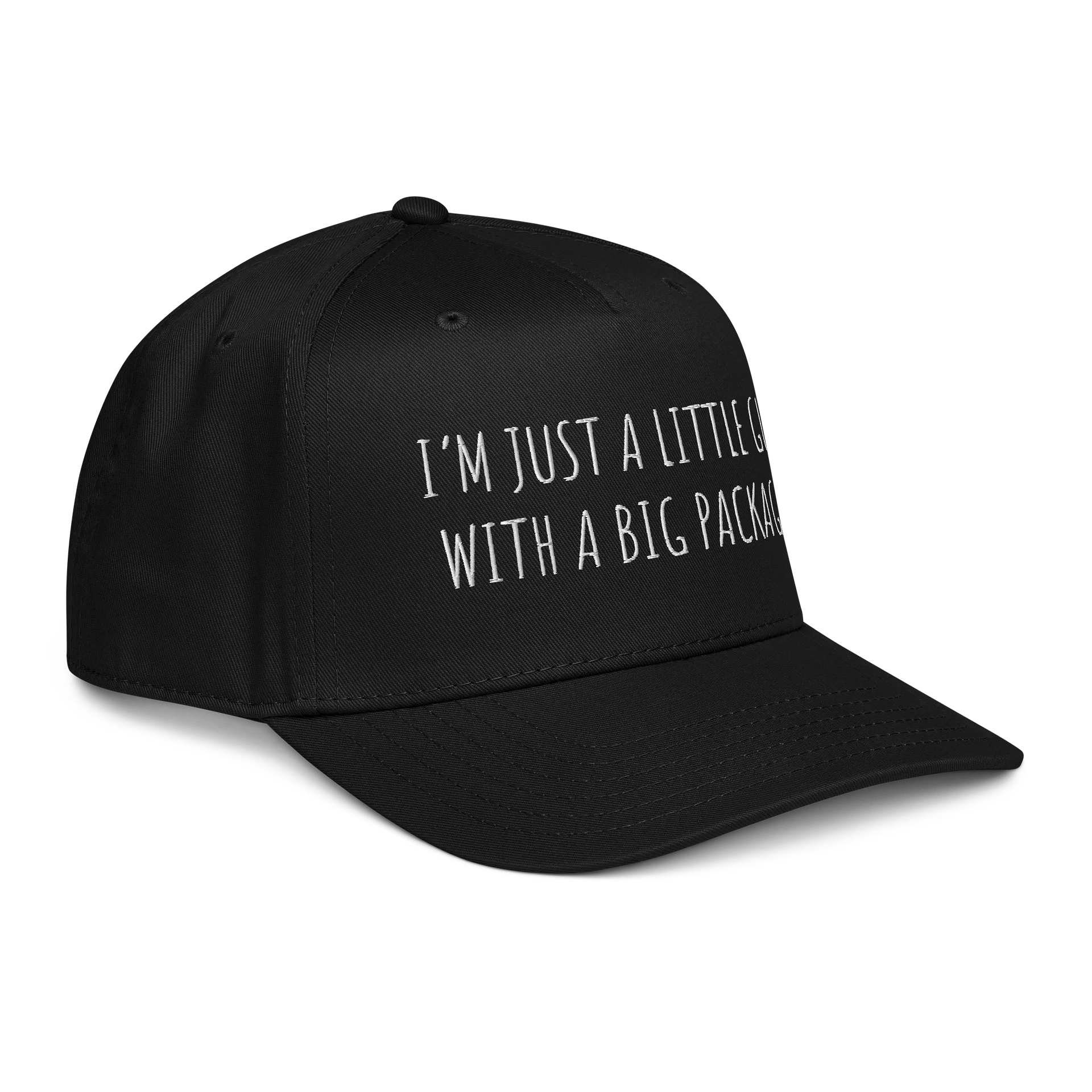 Little Guy product image (3)