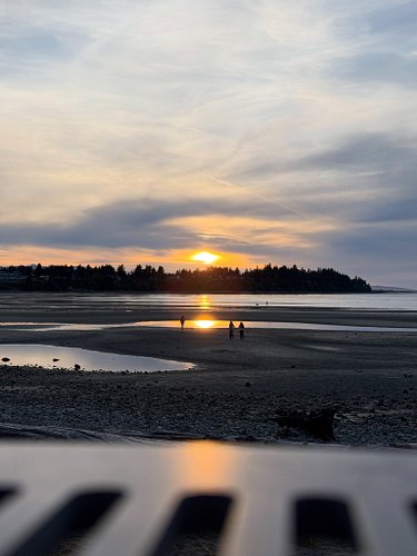 Needing another one of these sunsets in my future ☀️😊❤️ #parksville #beautifulbritishcolumbia #sunset #beach