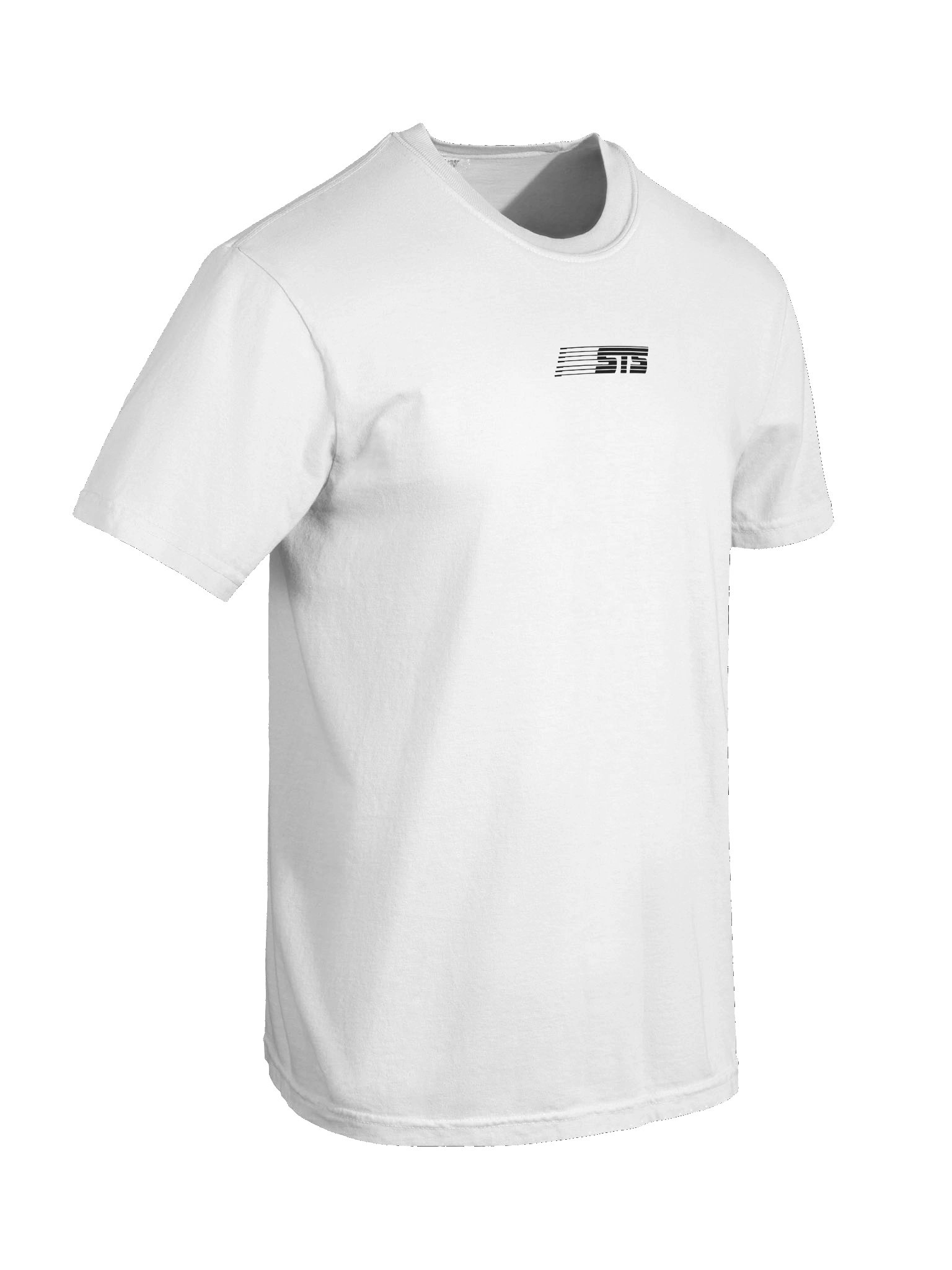 STS Logos Tee - Black on Light product image (2)