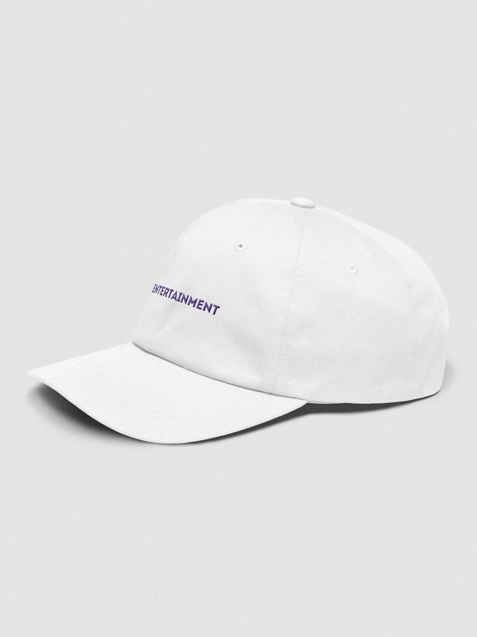 TG TF Entertainment Dad Hat product image (3)
