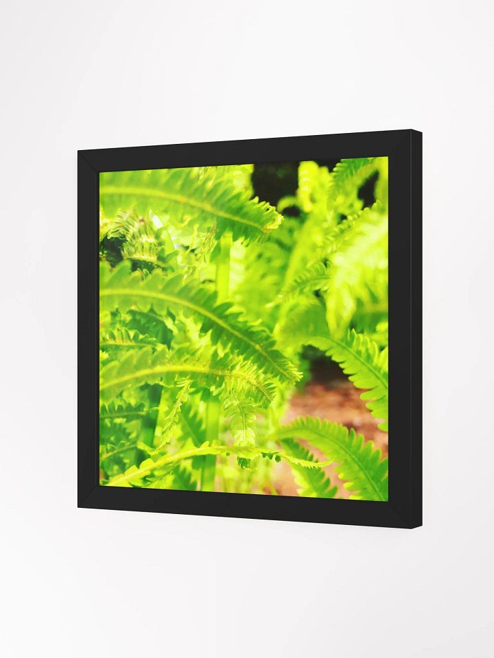 Element 2 product image (2)