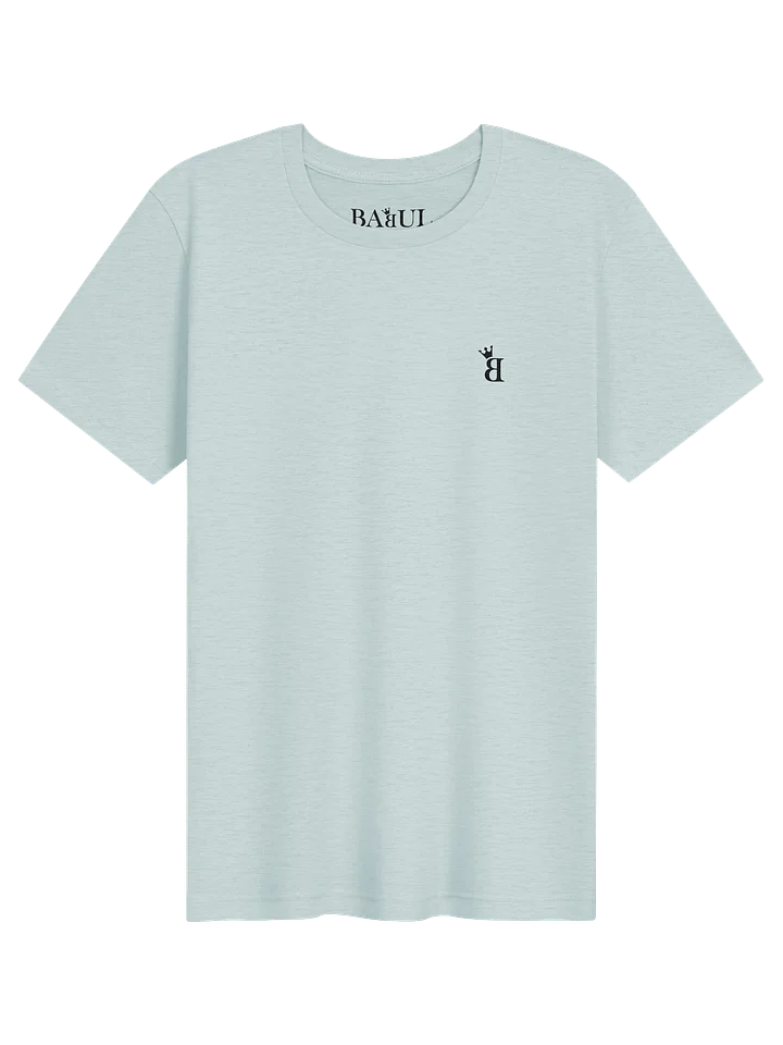 Champion T-shirts product image (2)