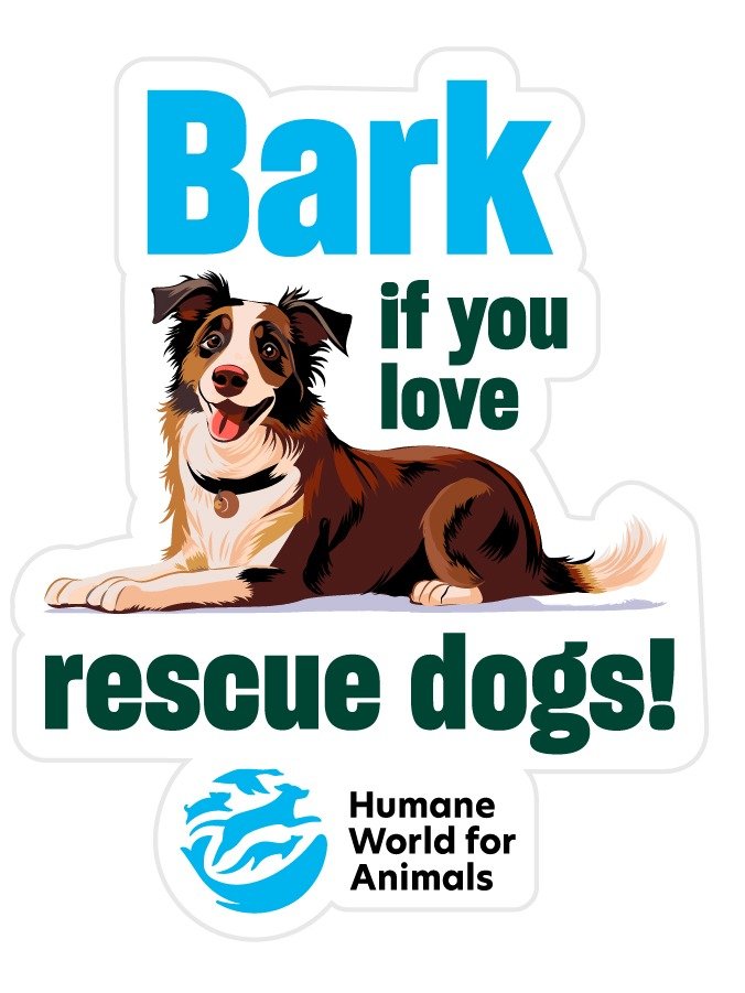 Animal Care Expo sticker pack - Set of 6 product image (2)