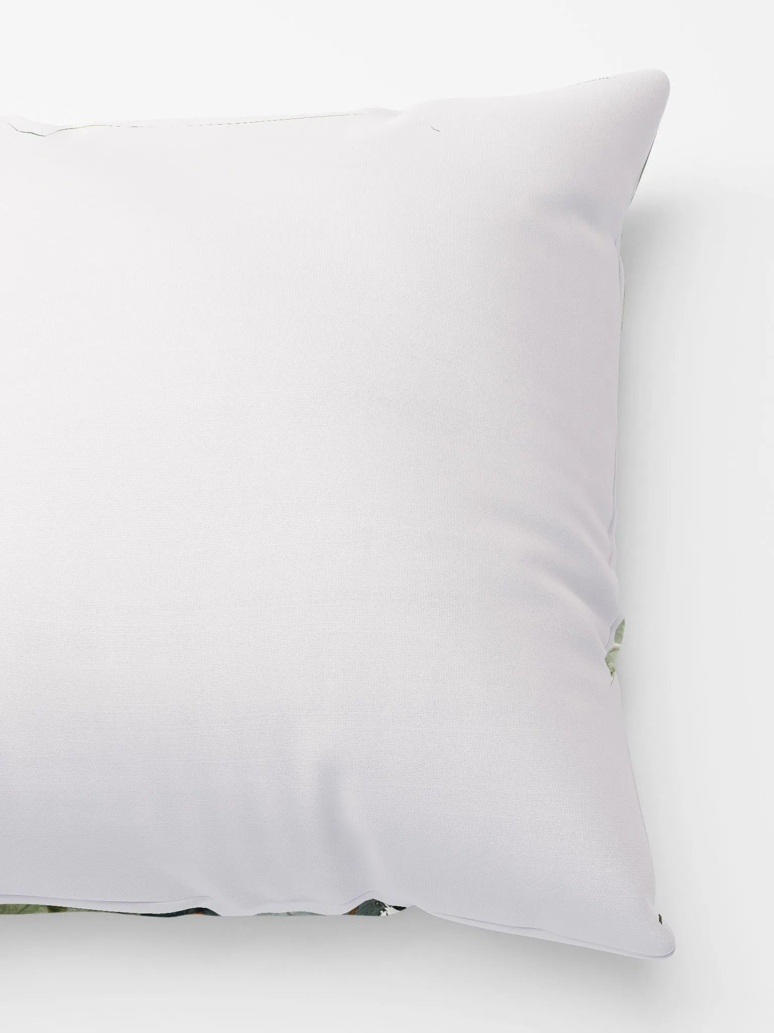 Daisies product image (8)