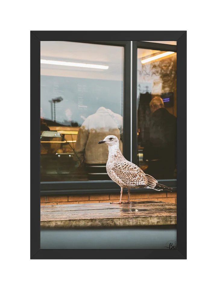 Silent Observer product image (1)
