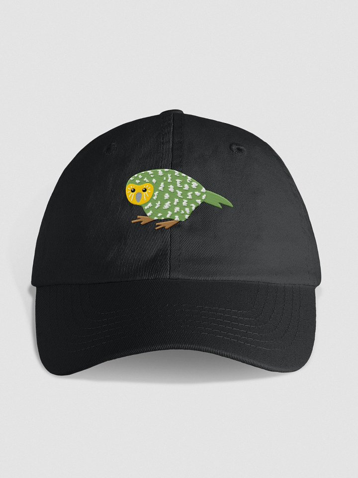 Kids Embroidered Kakapo Cap product image (1)