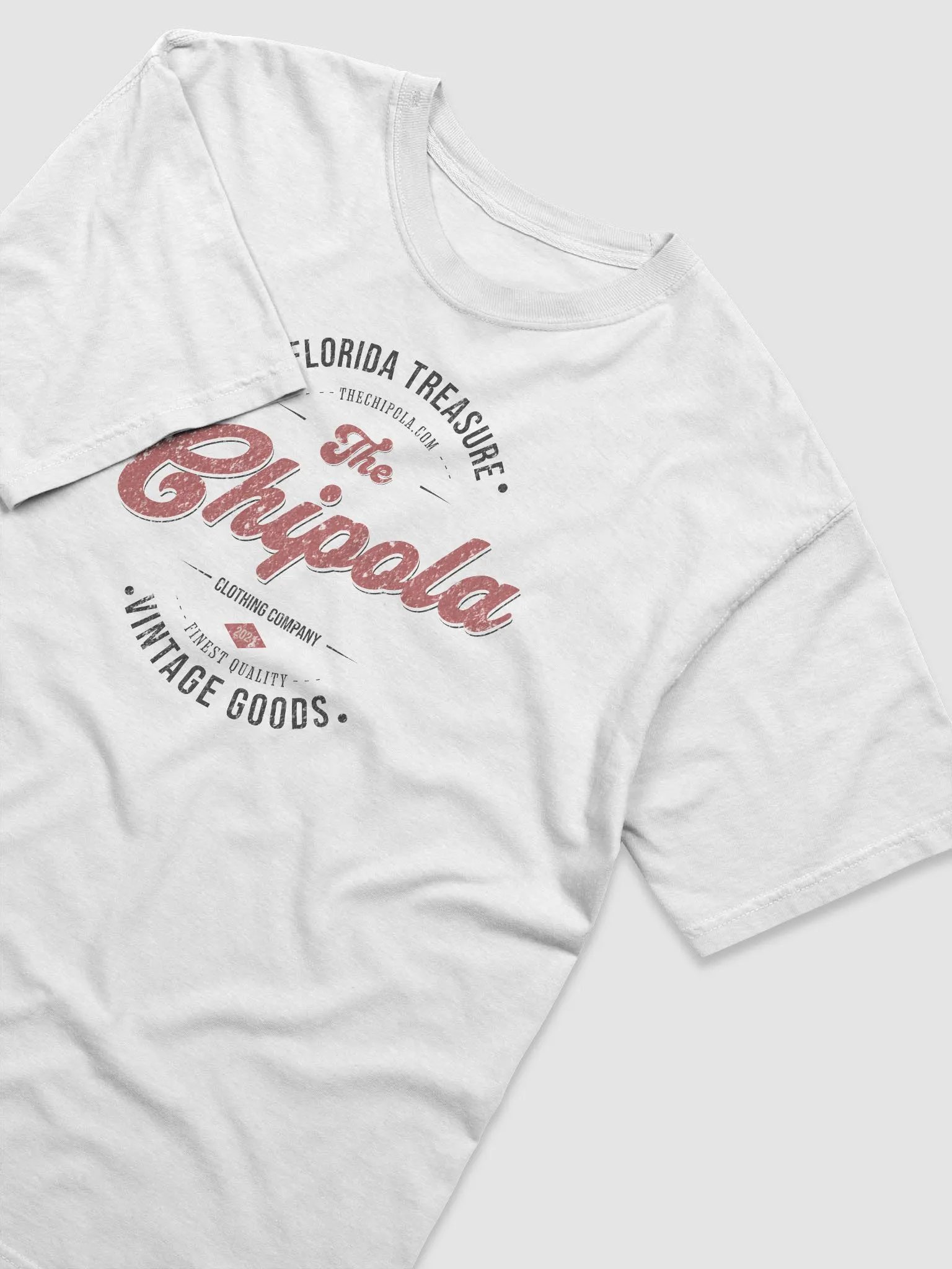 The Vintage Goods Chipola Tee product image (4)