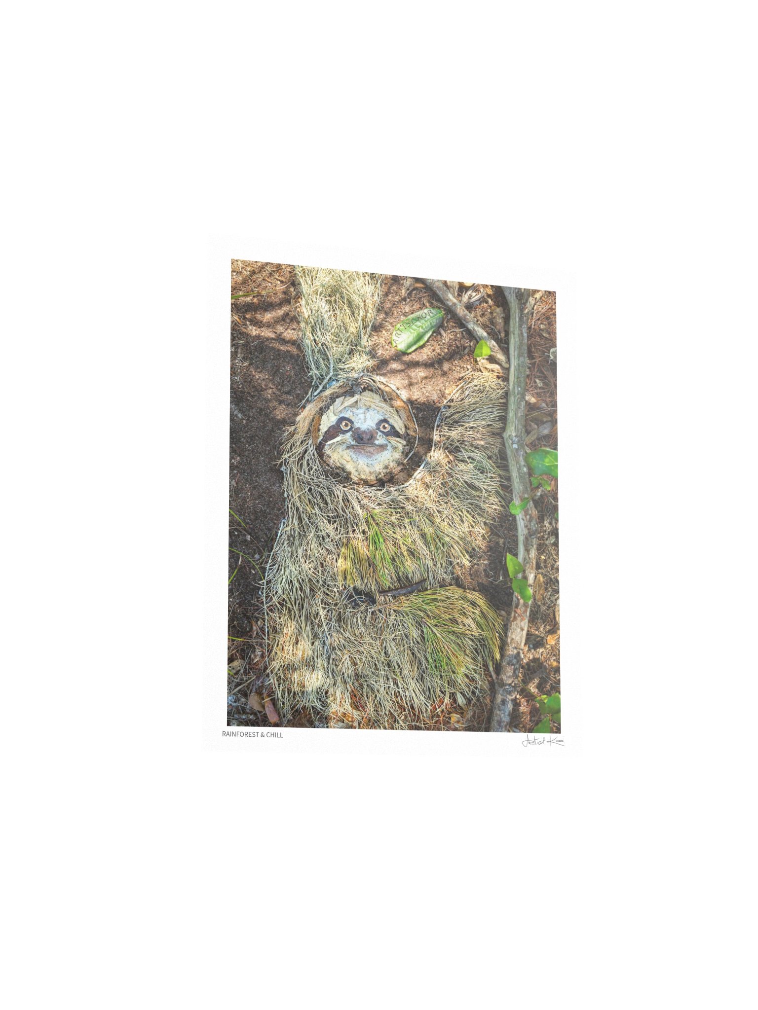 RAINFOREST & CHILL | Fine Art Print product image (5)