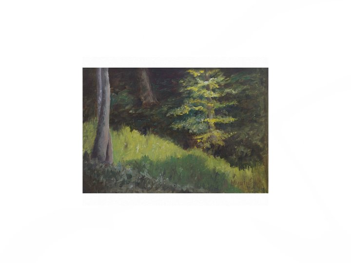 Glade Between Hills - Premium Matte Paper Print product image (2)