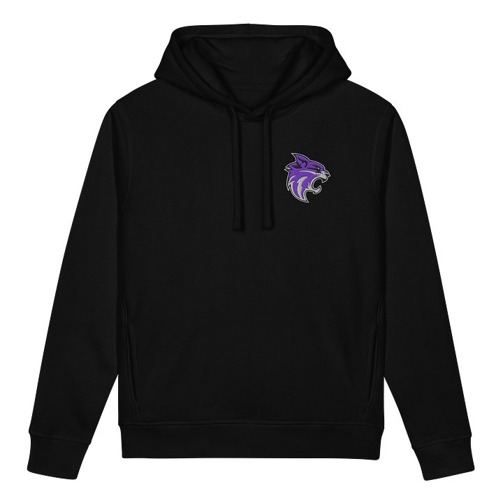Jr Whips Embroidered Hoodie product image (1)