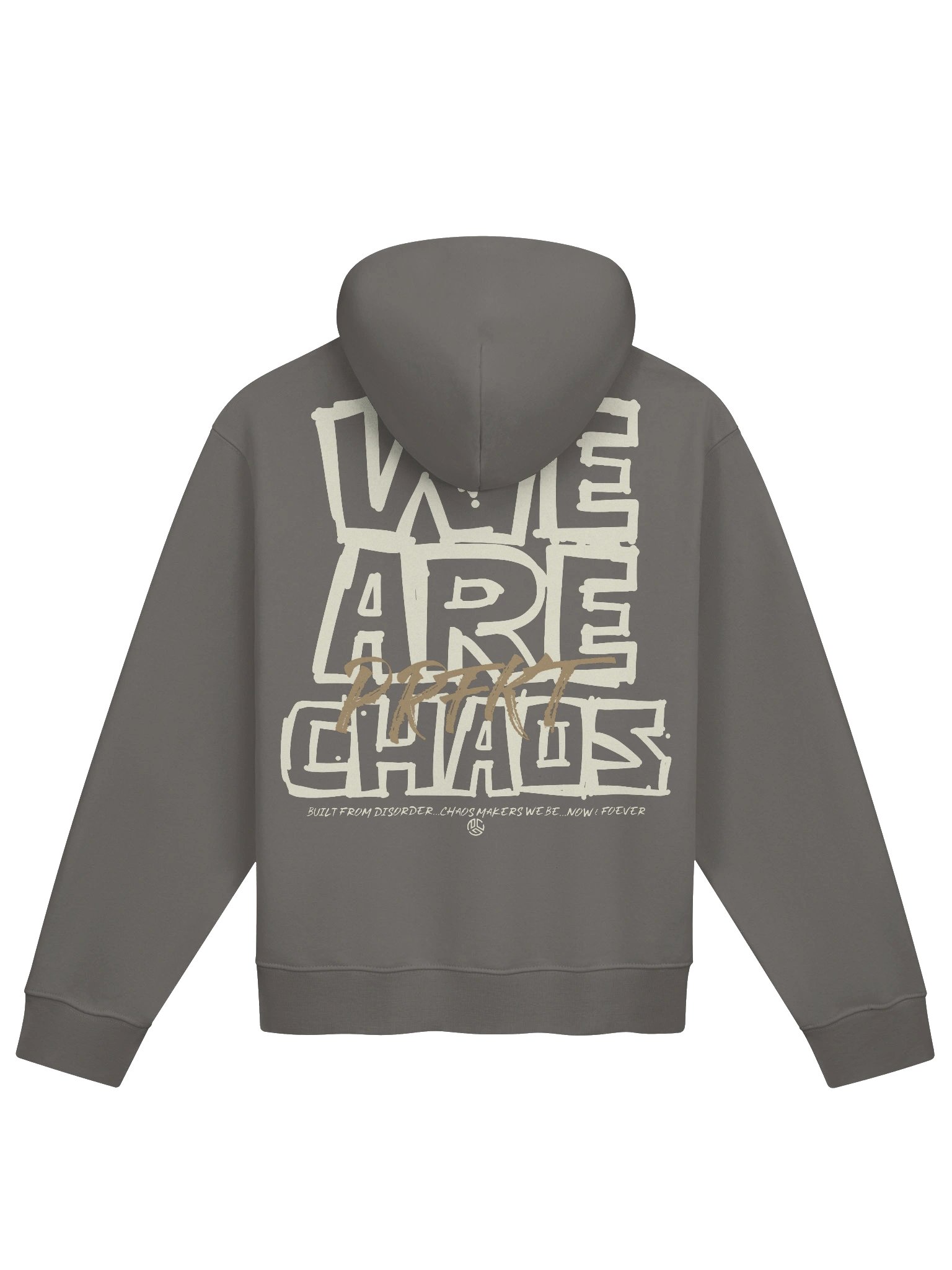 We Are Chaos Hoodie Asphalt product image (2)