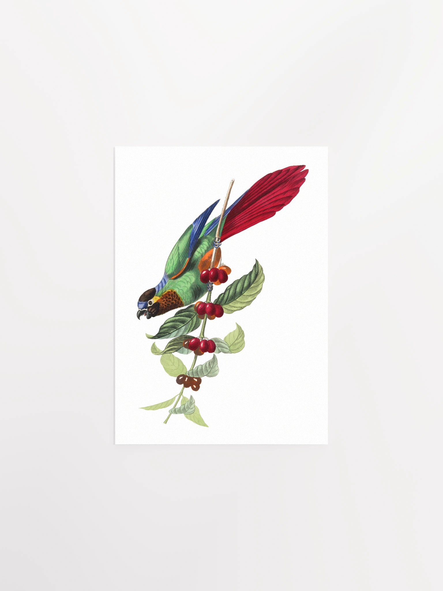 Vibrant Avian Delight Poster product image (2)