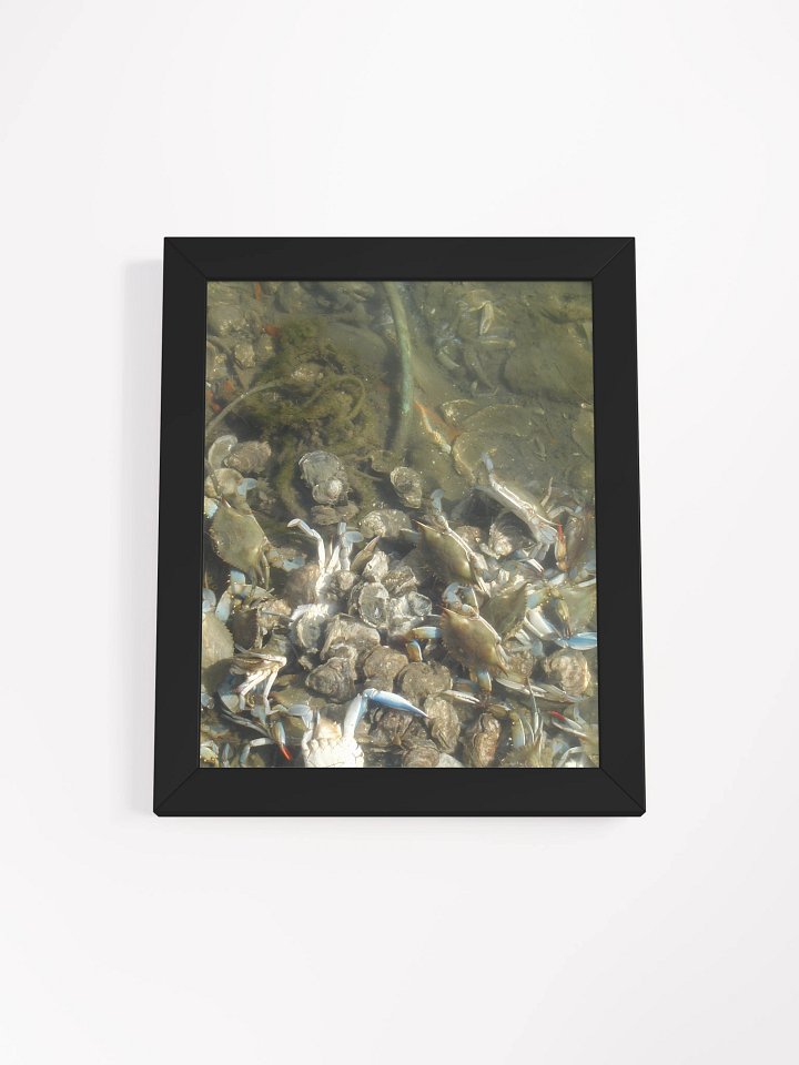 Murky Marine Life Framed Poster product image (1)