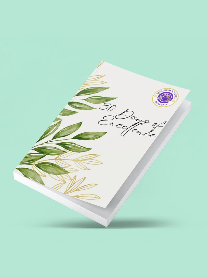 30 Days of Excellence Journal: Biblical Wisdom for Life Transformation product image (1)
