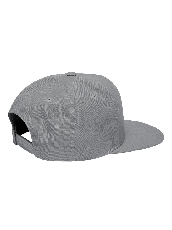 HORN BEER - GREY SNAPBACK product image (2)