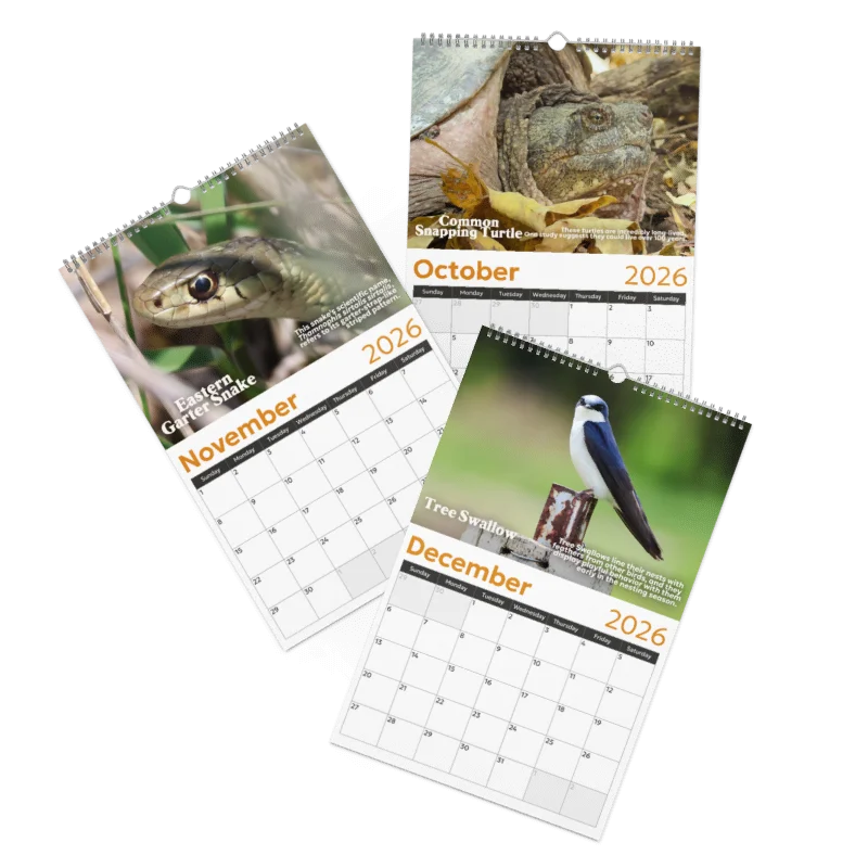 2026 Wall Calendar product image (5)