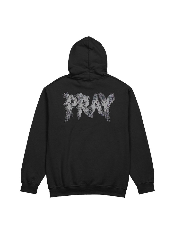 Birds Of Pray Hoodie product image (1)