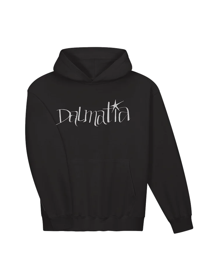 Dalmatia Whimsy Men's Hoodie product image (2)