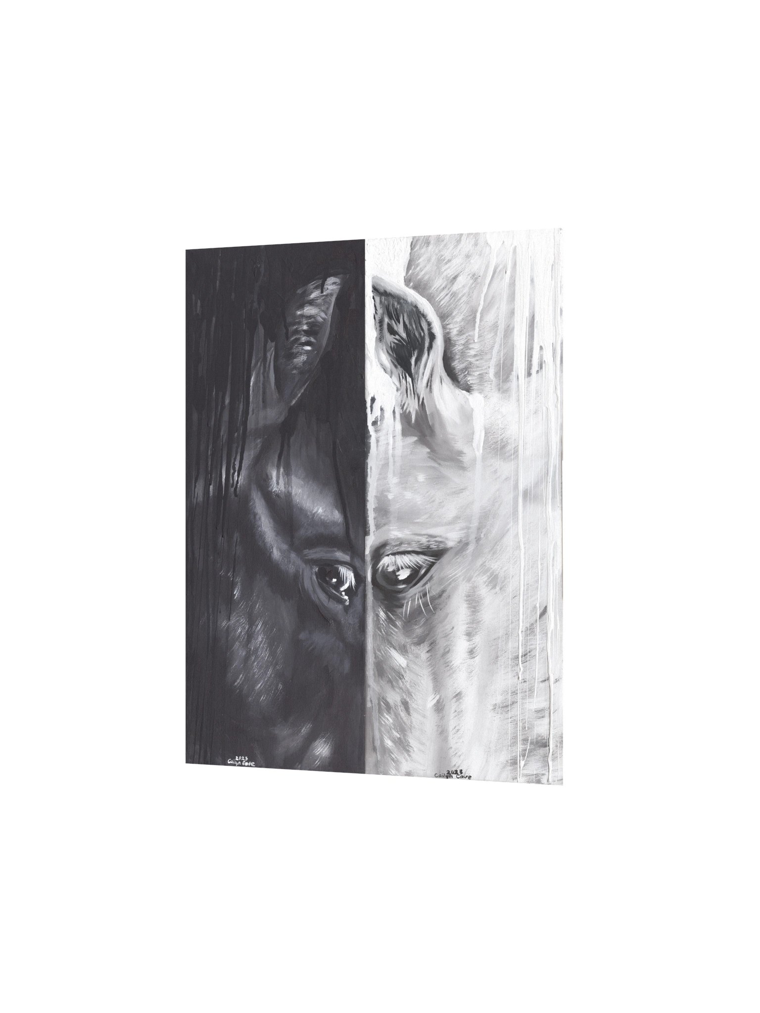 Yin Yang product image (2)