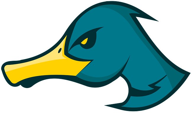 Ducks