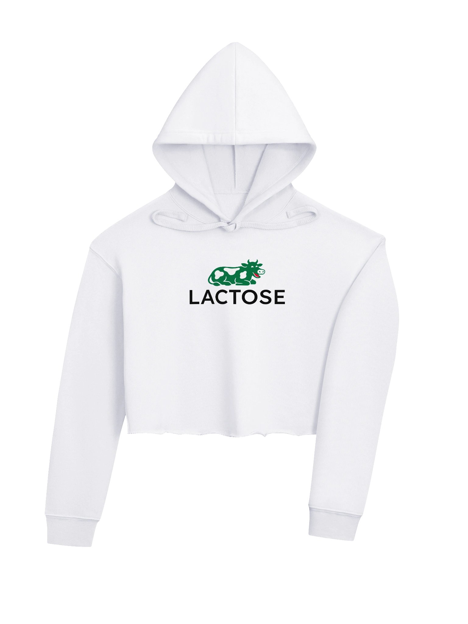 Lactose Fleece Crop Hoodie product image (4)