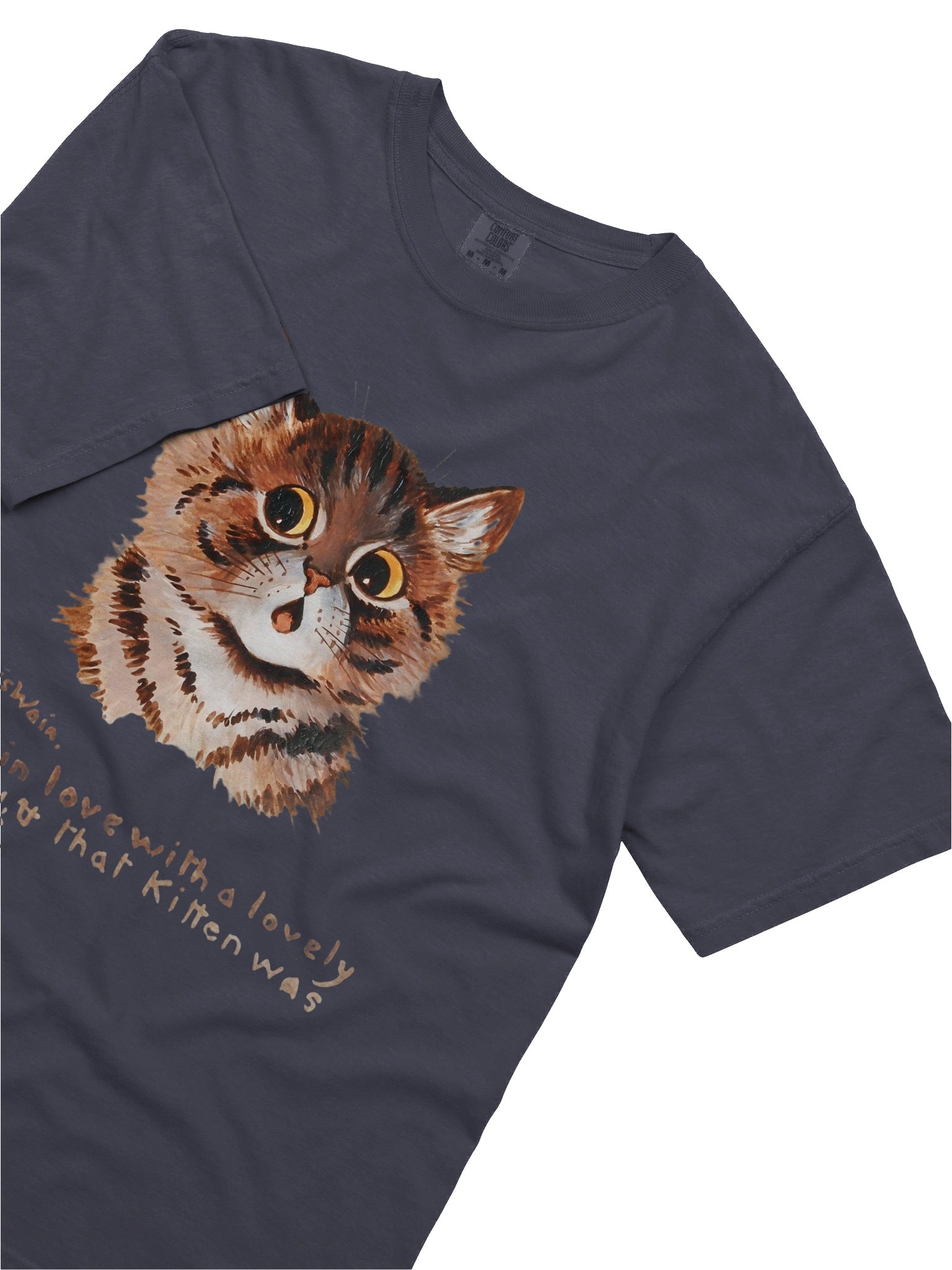 Louis Wain Cat Art T-Shirt - Relaxed Fit Heavyweight Unisex Cotton T-Shirt product image (10)