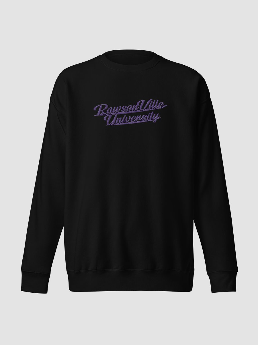 RVU: Embroidered Sweatshirt product image (2)