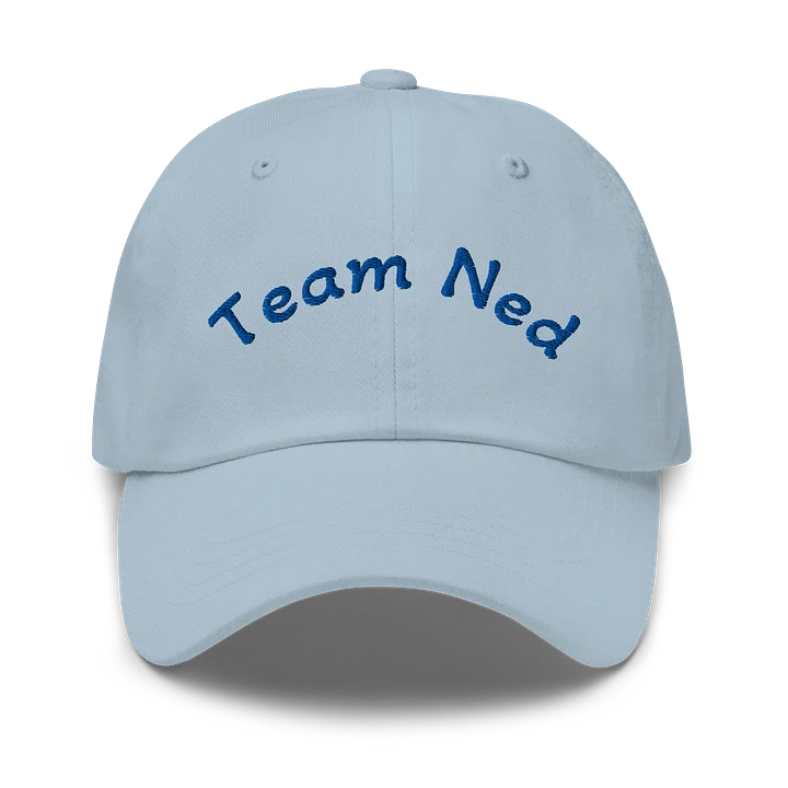 Team Ned Hat product image (1)
