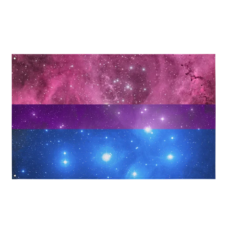 Bi Space Pride Flag product image (1)