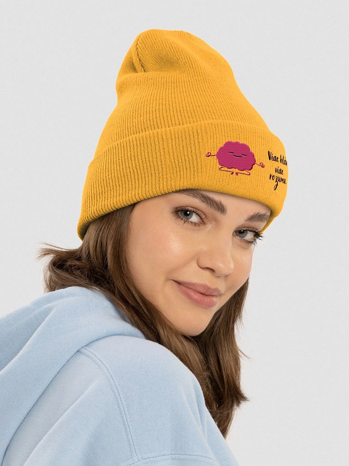 Dámska čiapka "Viac hláv, viac rozumu." product image (2)