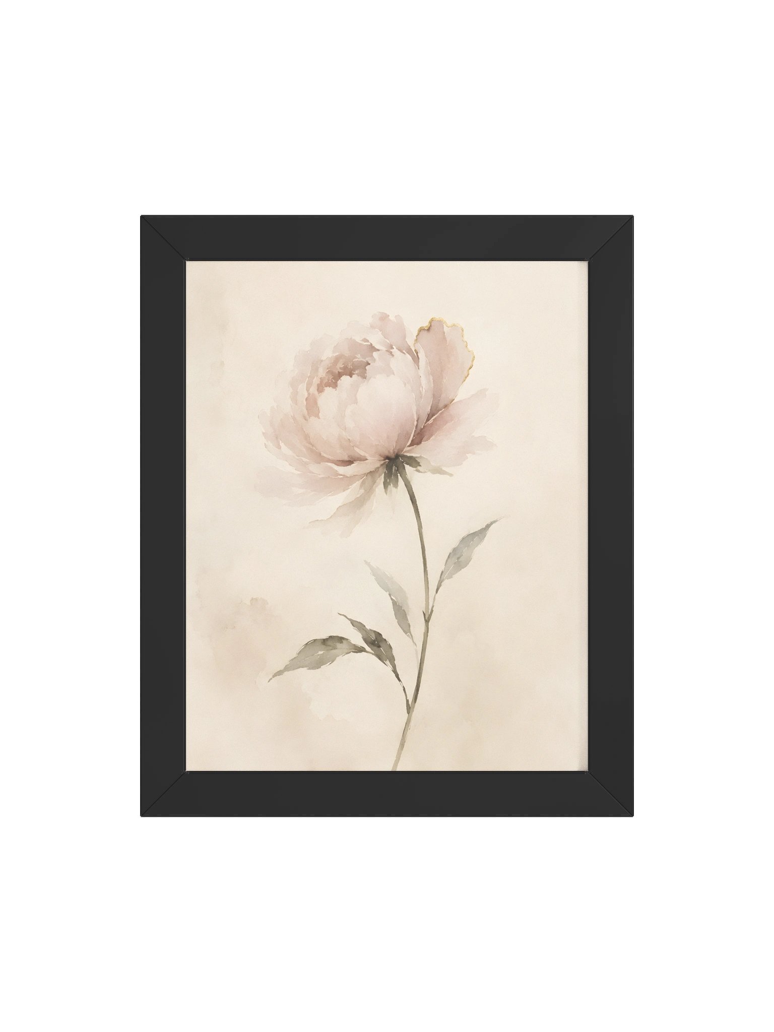 Morning Peony product image (5)