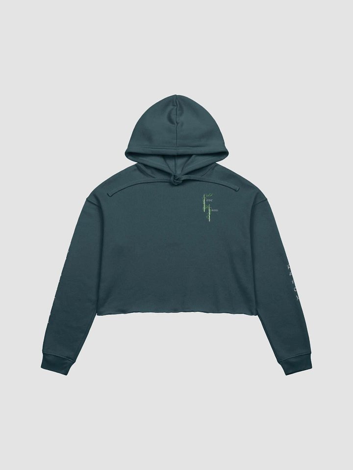 TrueTash Adventuring Party Crop Hoodie product image (1)