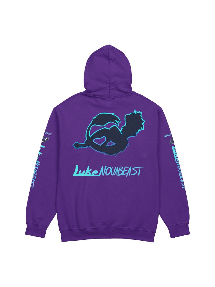 Budget Friendly Hoodie product image (14)