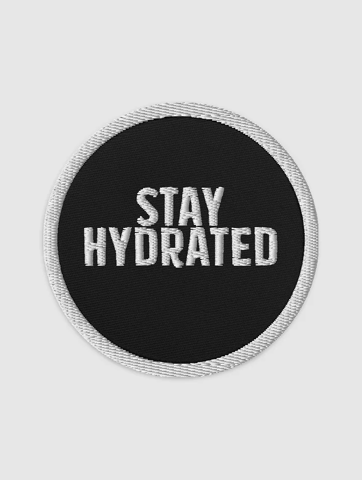 StayHydrated Embroidered patch product image (1)