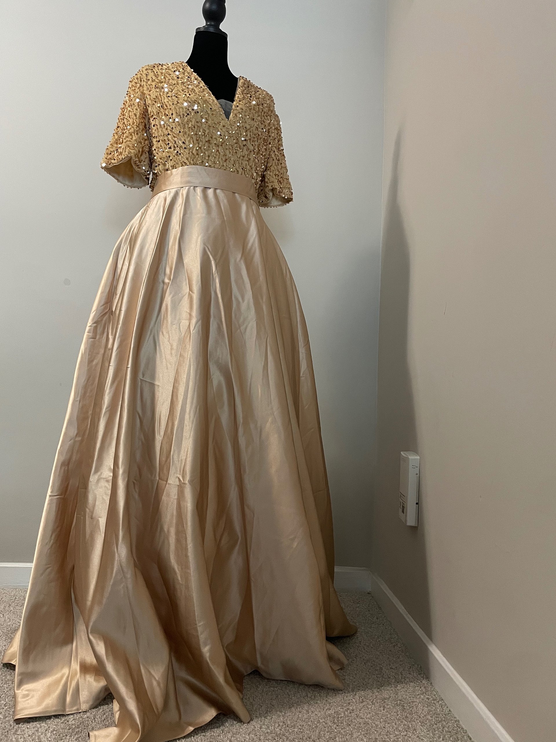 Luxury dress product image (1)