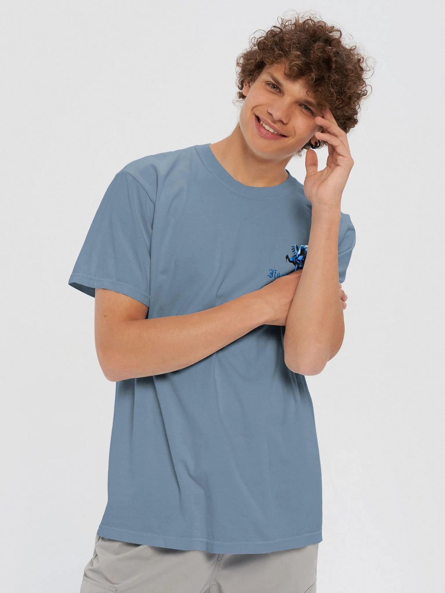 Ibis Embroidered Tee product image (34)