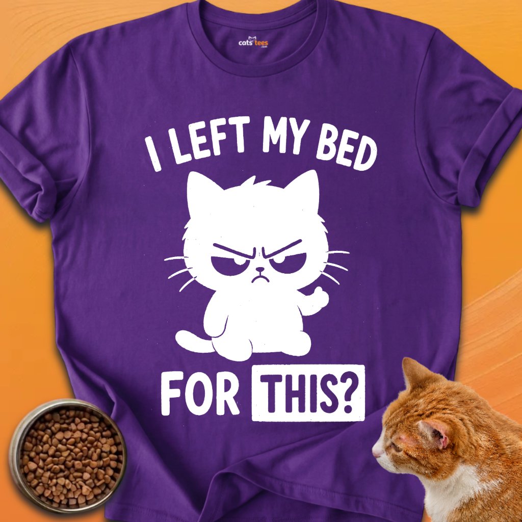 I Left My Bed For This? product image (4)