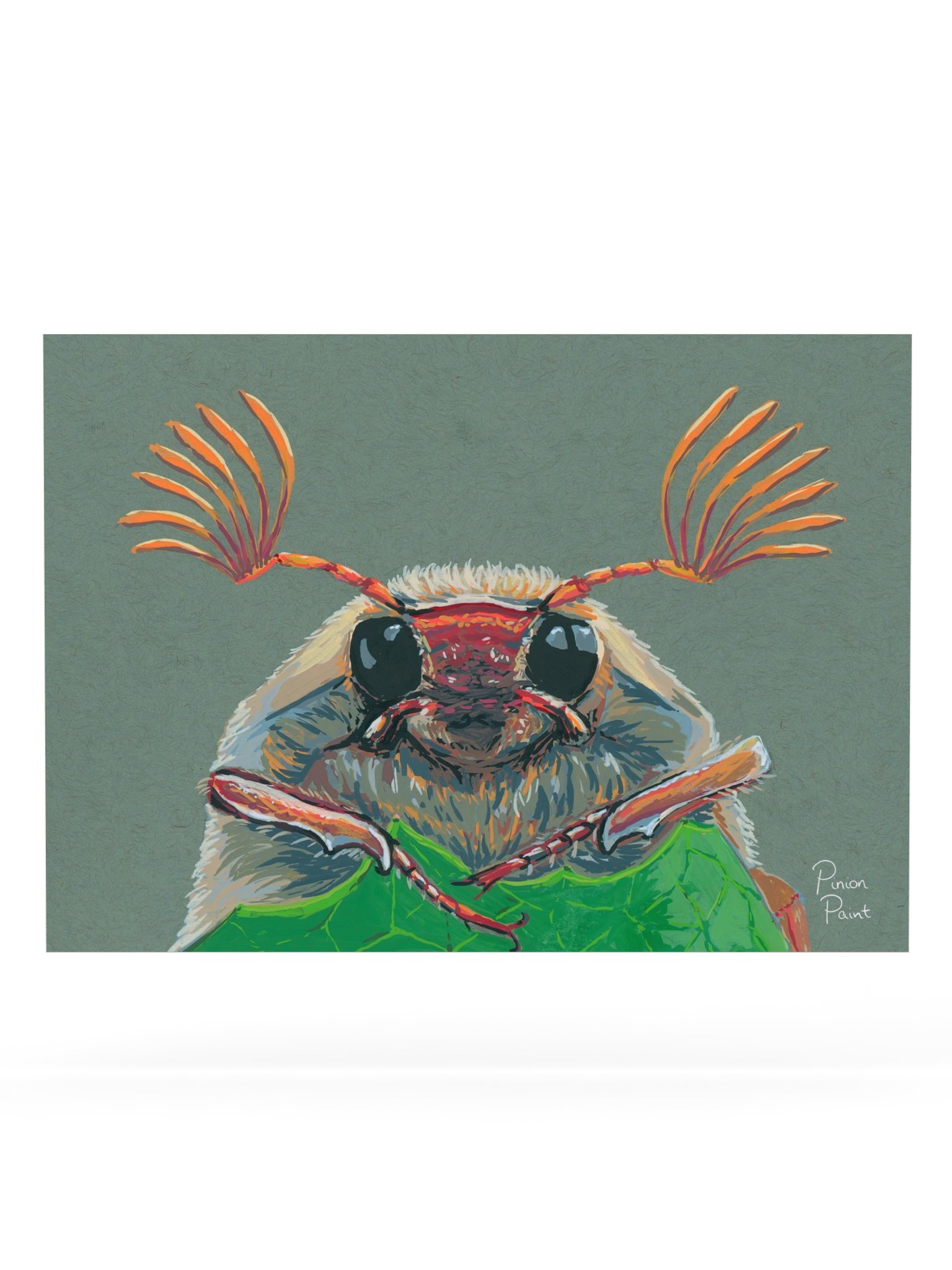 Cockchafer print product image (1)