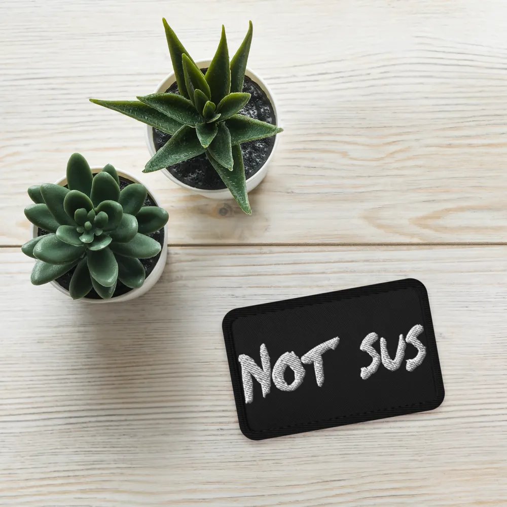 Patch it Not Sus product image (4)