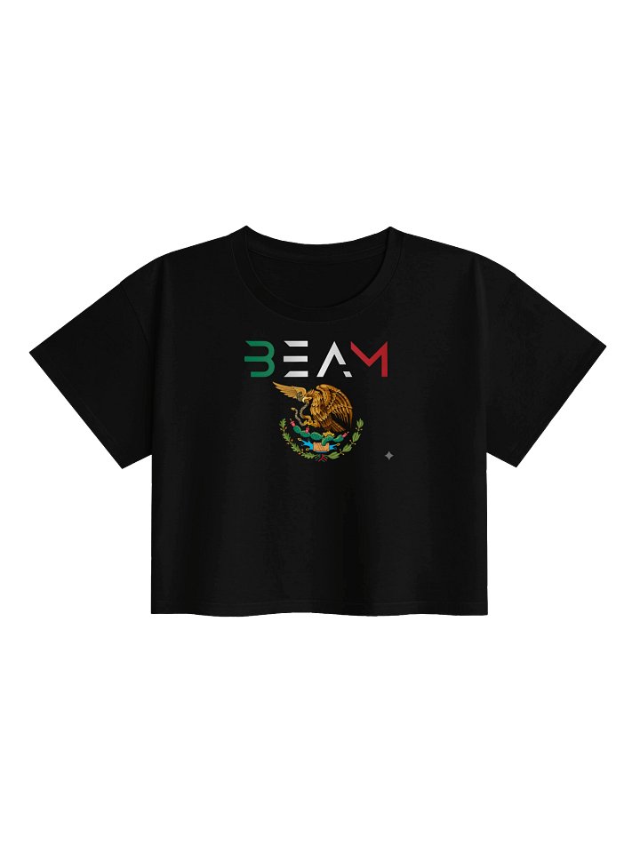 BEAM MEXICAN FLAG CROP TOP WOMENS product image (6)