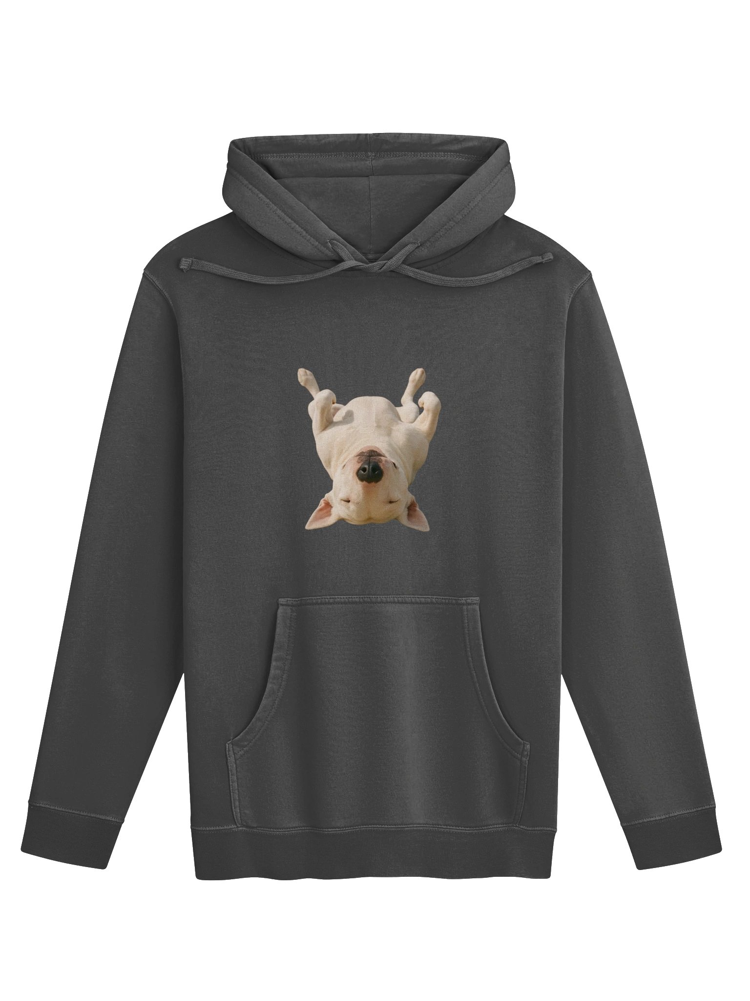 Bull Terrier TOP MODEL Absolute Ease! product image (1)