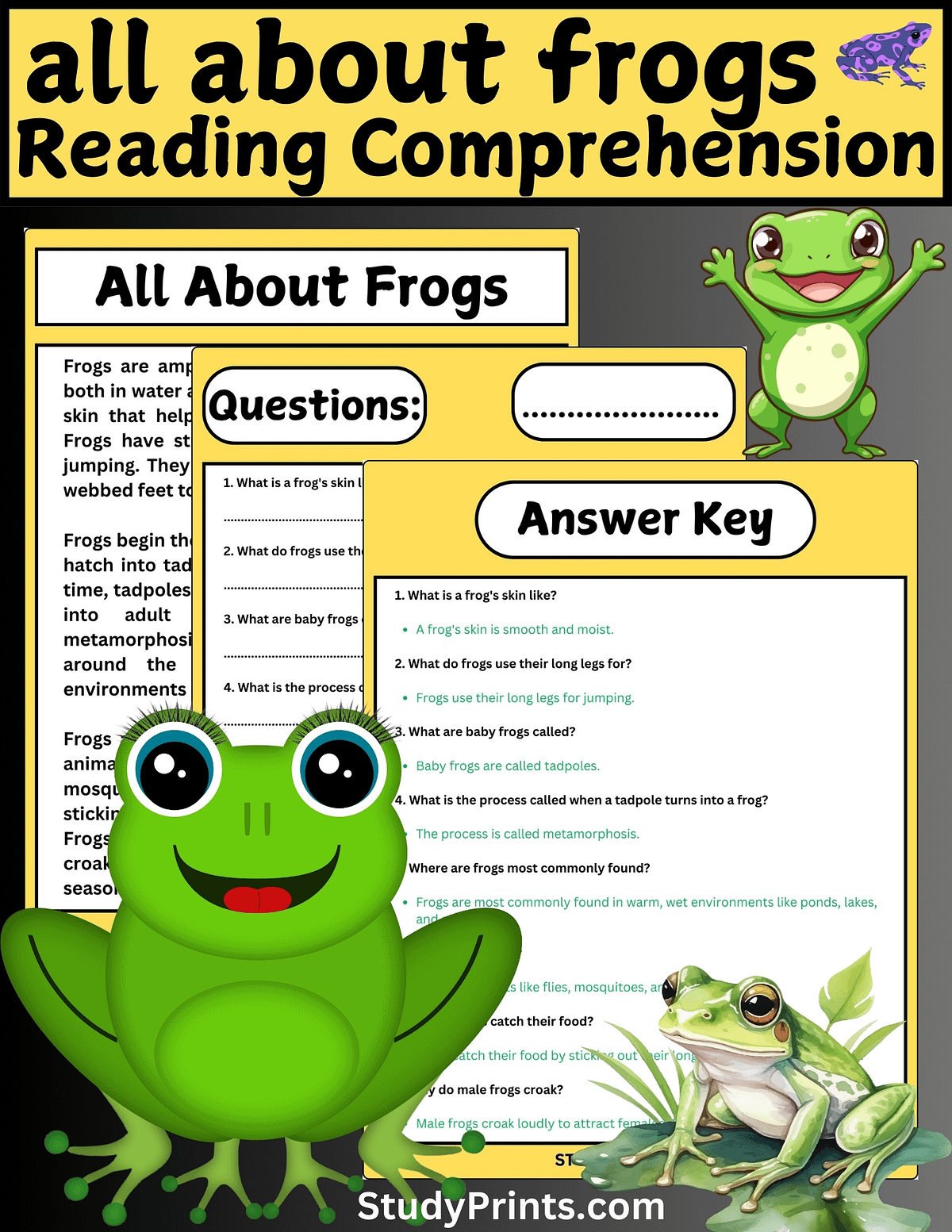 all about frogs reading comprehension worksheets | Study Prints