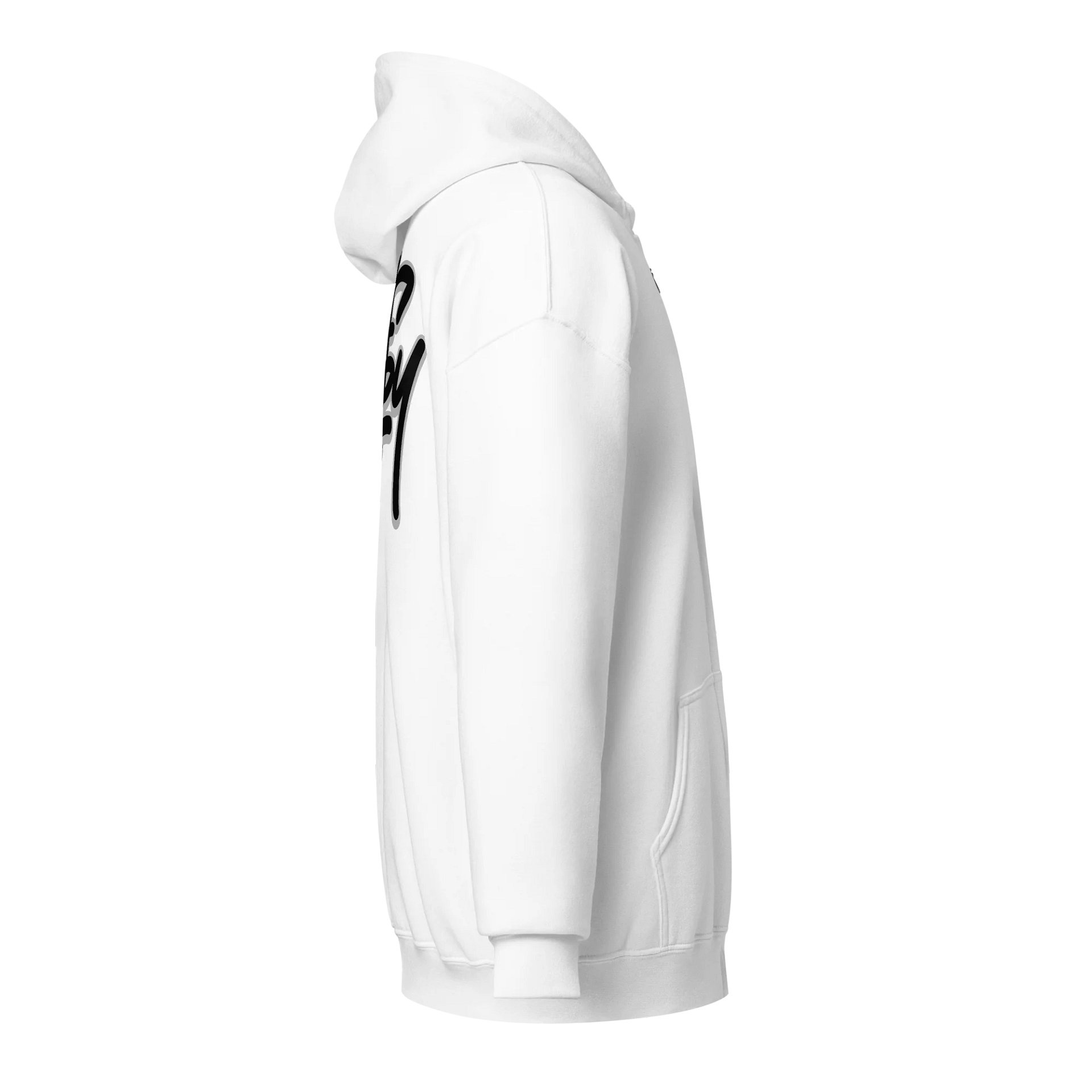Basic SC Hoodie product image (4)